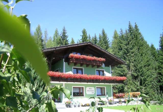Haus Petersmann Ξενοδοχείο Ramsau am Dachstein Εξωτερικό φωτογραφία