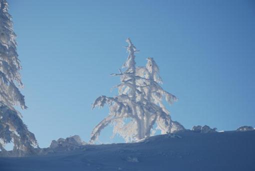 Haus Petersmann Ξενοδοχείο Ramsau am Dachstein Εξωτερικό φωτογραφία